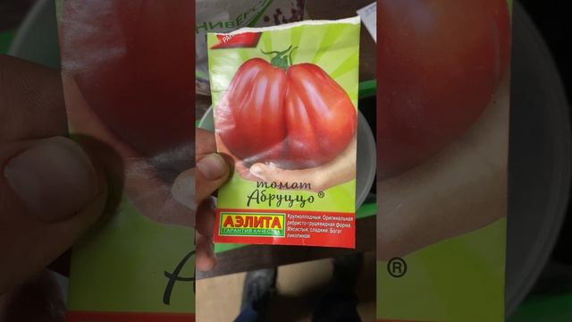 Посадка помидор на рассаду