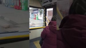 Ташкент куйлюк массив