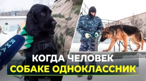 Ямальский спаниель Стич с напарником тренируются в кинологическом центре Росгвардии в Тюмени