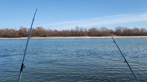 Рыбалка на Кубани: охота на сома с донкой! 🎣