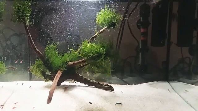 Креветочник смотреть онлайн