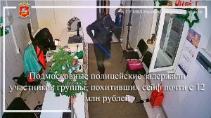 Подмосковные полицейские задержали участников группы, похитивших сейф почти с 12 млн рублей