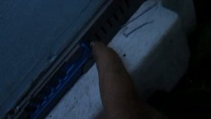 как перевезти улей с пчелами с одного точка на другой