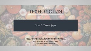 Ушакова Ю.В. - Техносфера