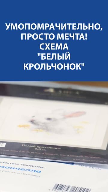 Любите вышивать животных? Схема "Белый крольчонок" вас очарует! ✨