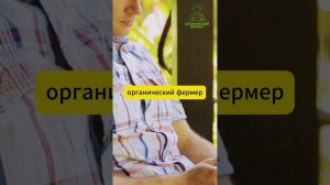 Что бы любая рассада не болела