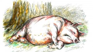 И. А.  Крылов:  "Свинья", "Муха и дорожные", "Орел и паук".