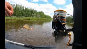 Как поймать удачу: Рыбалка с молодым рыбаком!