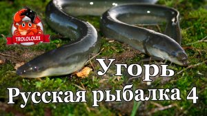 Русская рыбалка 4.Угорь на старом остроге
