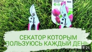 СЕКАТОР КОТОРЫМ ПОЛЬЗУЮСЬ КАЖДЫЙ ДЕНЬ