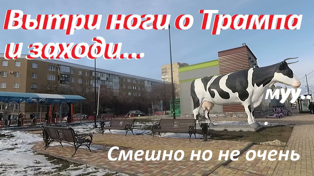 На пмж из Новосибирска. Коврик с изображением Трампа в думе Ставрополя. Прибавление в семействе!
