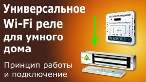 Умное Wi-Fi реле с независимым контактом: управление освещением и техникой. Установка своими руками