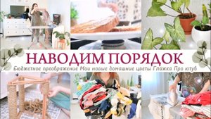 ОБНОВЛЯЕМ ИНТЕРЬЕР СВОИМИ РУКАМИ / ВСЕ МОИ ДОМАШНИЕ РАСТЕНИЯ