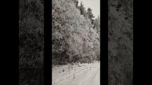 Зимняя фантазия❄❄❄