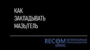 Как закладывать капли/мазь в глаз питомцу