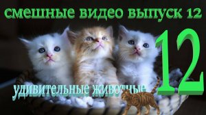 Удивительные животные выпуск двенадцатый 12 #оскар2025