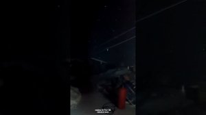 утро с медведем.