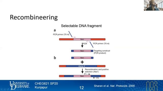 34 Recombineering | Genome Engineering Tools | Lecture 16 | Metabolic Engineering | SP20