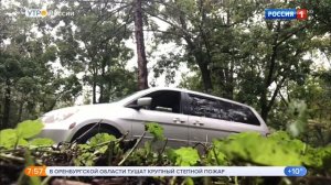 Елена Николаева Утро России Эфир от 19.09.2018