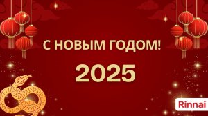 10_С новым 2025 годом_1 вариант