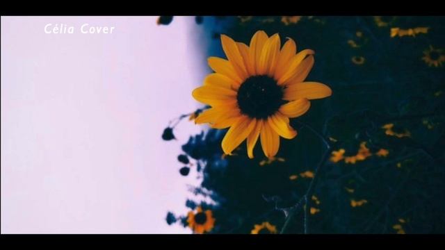 i love you - Billie Eilish (Célia Cover) смотреть онлайн