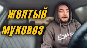 🤙 Катаем ссанину 💛 / 🙀 Выживаем в такси 🚖 в феврале 2025 #ссанина #реальностьтакси #яндекстакси