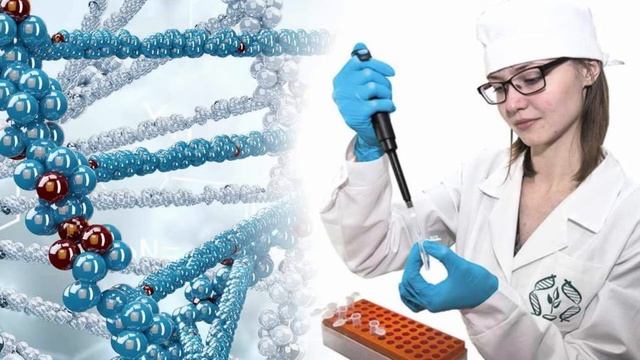 Топ-10 професій майбутнього. Нові професії, які будуть затребувані в майбутньому. смотреть онлайн