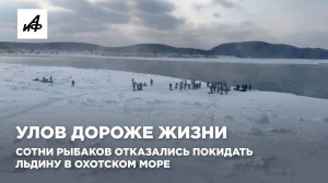 Улов дороже жизни! Сотни рыбаков отказались покидать льдину в Охотском море