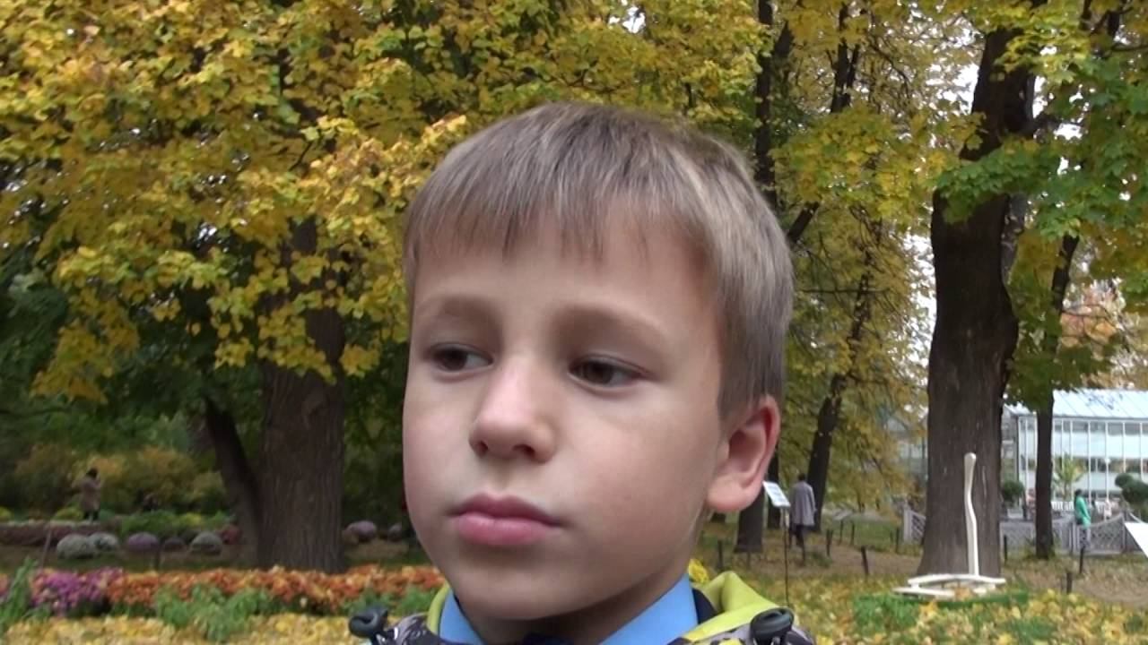 08 10 2016 Гимназия Наши достижения Ч 1 смотреть онлайн