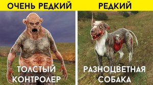 7 САМЫХ РЕДКИХ монстров - Тень Чернобыля