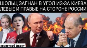 Новые сторонники Путина в Берлине? Крайне правые и левые в Германии поддерживают Россию.