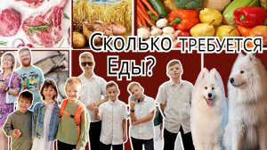 ПРОДУКТОВАЯ КОРЗИНА 2025 #многодетные #еда #кетоменю #рецепты #кеторецепты #диета #закупка
