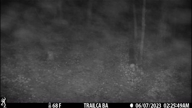 Game Camera 21 смотреть онлайн