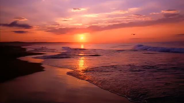 The Ultimate Gift - composer: Kim Planert - Vocals: Reno Troilus смотреть онлайн