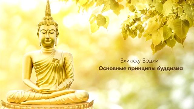 Бхиккху Бодхи - Основные принципы буддизма смотреть онлайн