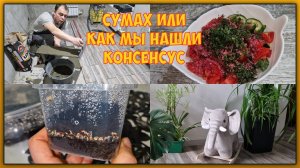 Застукала за нычкой. Стал отцом🐶 Кладём плитку в ЦК.
