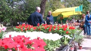 Фестиваль цветов прошёл в Тамбове