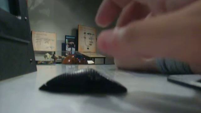 Fly Mating Game смотреть онлайн