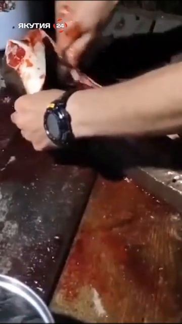 Разделка осетра с икрой/Cutting sturgeon with caviar #якутия #рыбалка #рыба #осетр #икра #рыбак