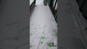 ОБЗОР ПРИСТРОЙКИ К КАРКАСНОМУ ДОМУ СПУСТЯ ГОД ПОСЛЕ СТРОИТЕЛЬСТВА | часть 3