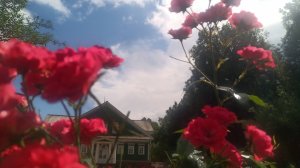 Велопутешествие: Санкт - Петербург - Анапа.  1 августа 2024.