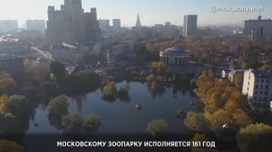 12.02.2025. Московскому зоопарку исполняется 161 год