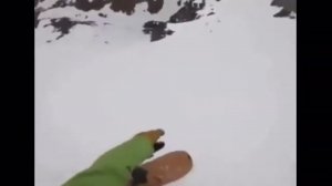 ты куда персик персик может обратно