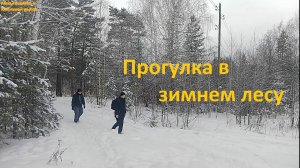 Прогулка в зимнем лесу