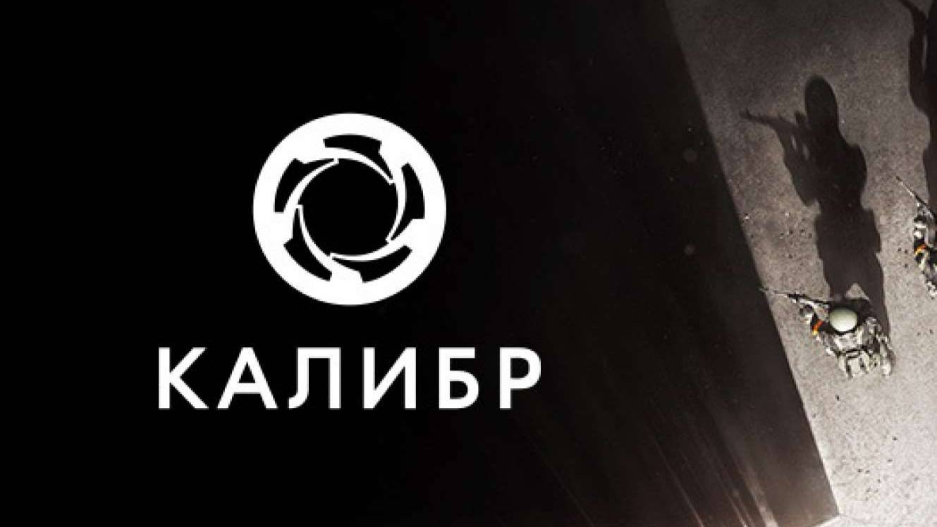 калибр