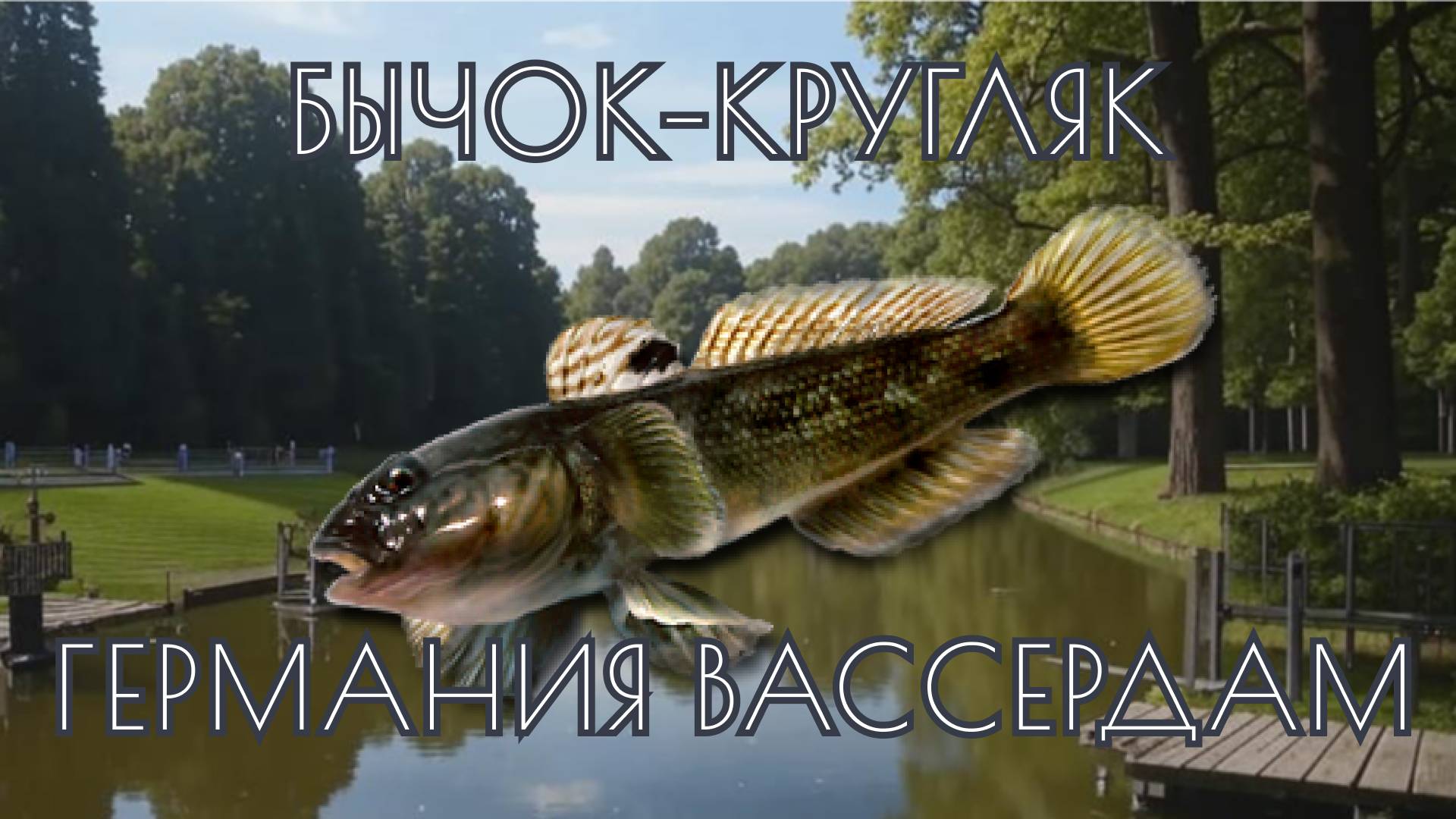 Fisher online 🎣 Рыбалка 🐺 Германия 🐺 Вассердам 🐺 Бычок-кругляк 🎵 Музыкальный чилл 🎵