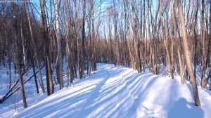 Не сбывшаяся мечта сахалинцев.