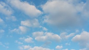 Сотник смелый 12.02.25 г.