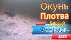 ПЛЮСЫ И МИНУСЫ РЫБАЛКИ С ПОДВОДНОЙ КАМЕРОЙ С ПОДОЛЬДА ОБЗОР ВИДЕО НА ПРИМАНКИ РЫБЫ РЕКА НЕВА