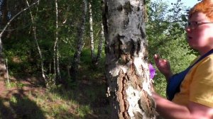 Кириешка и Рыжий против Нерф БАНДЫ Захват NERF АРСЕНАЛА ПОДСТАВА